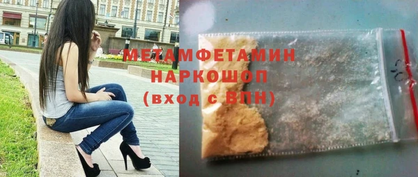 прущие грибы Иннополис